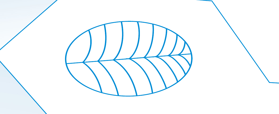 1745825073d09638b23ff4ce82